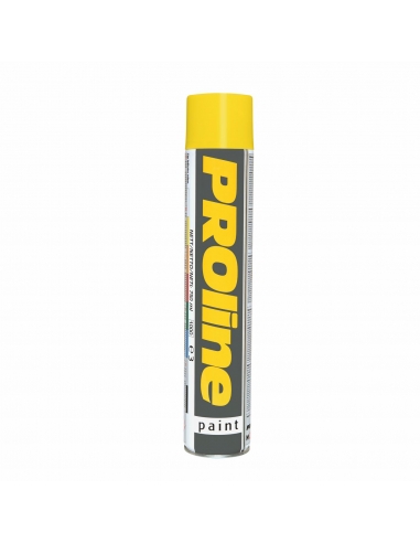 PROline - 750ml Paint Spray