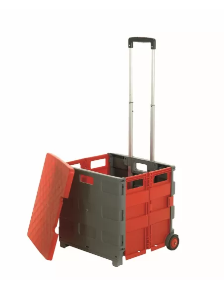 Folding Box Truck with Lid